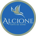 Partner logo 1