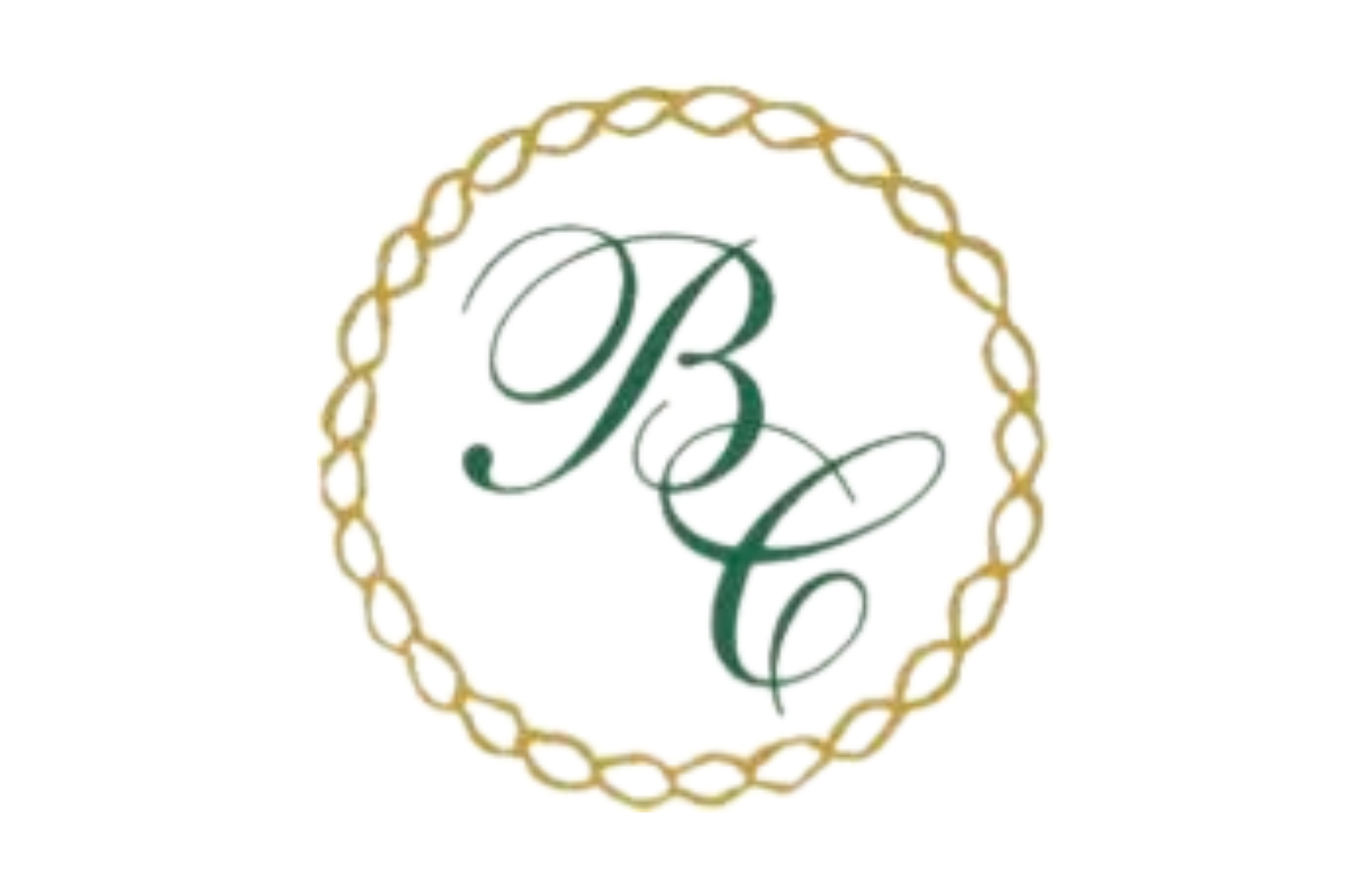 Partner logo 13